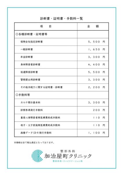 保険外費用負担一覧No2のサムネイル