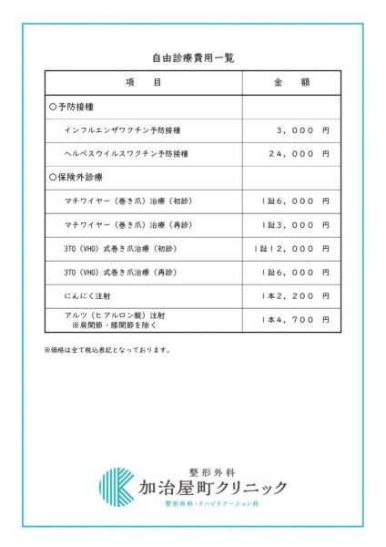 保険外費用負担一覧No1のサムネイル